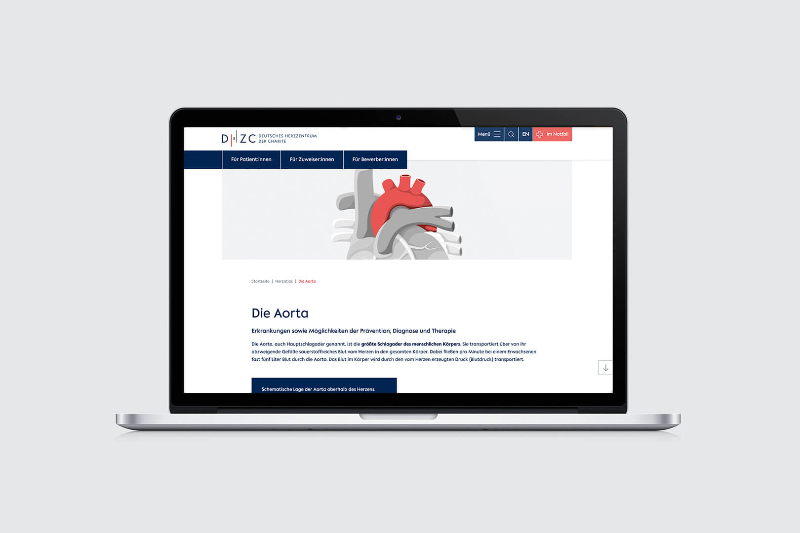 Referenzprojekt Deutsches Herzzentrum der Charité Webseite Mockup (Laptop)
