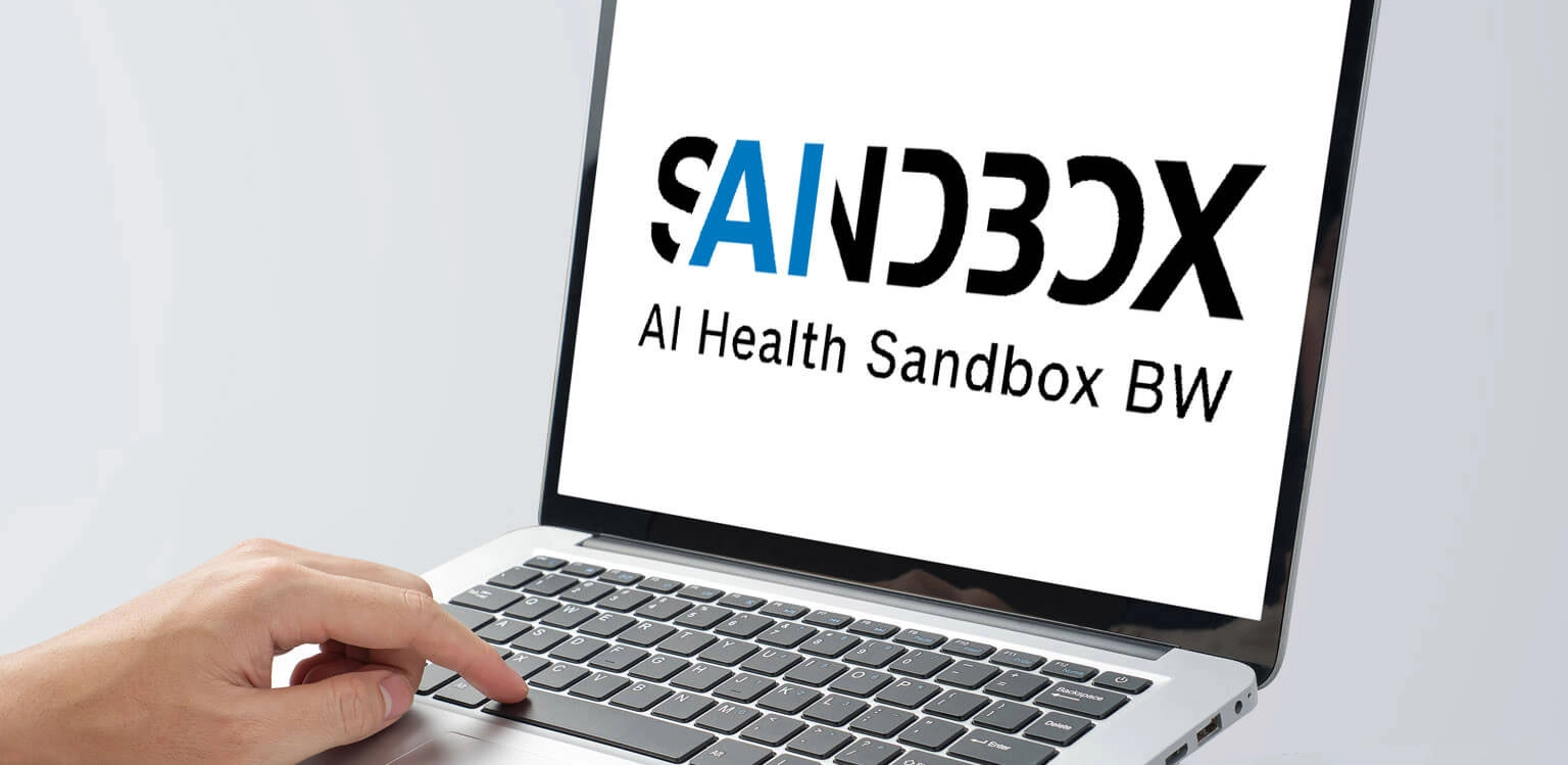 Remy & Remy Newsletterbeitrag wie Agentur und Kunde gemeinsam Marke machen Laptop Monitor mit Logo Saindbox Markenentwicklung