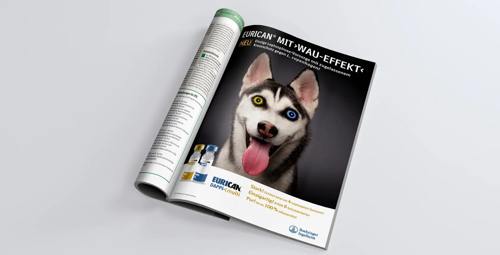 Referenzprojekt Boehringer Ingelheim Kampagne Eurican -Mockup einer Magazin-Innenseite zum Thema Impfstoffe für Hunde. Abgebildet ist ein großer Husky vor schwarz-grauem Hintergrund mit unterschiedlichen Augenfarben, der hechelt. Unten befindet sich ein weißer Balken mit der Darstellung eines Impfstoffs.