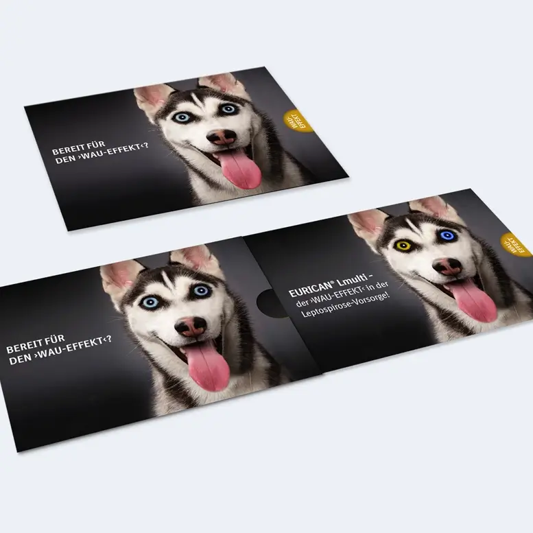 Referenzprojekt Boehringer Ingelheim Kampagne Eurican Impfstoffe für Hunde Mailing Titel