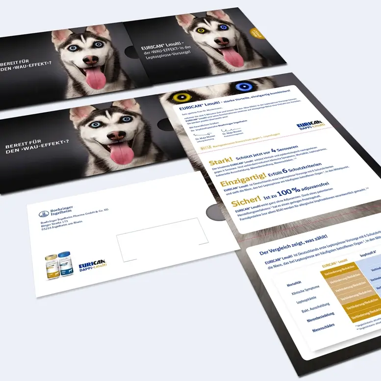Referenzprojekt Boehringer Ingelheim Kampagne Eurican Impfstoffe für Hunde Mailing Innen