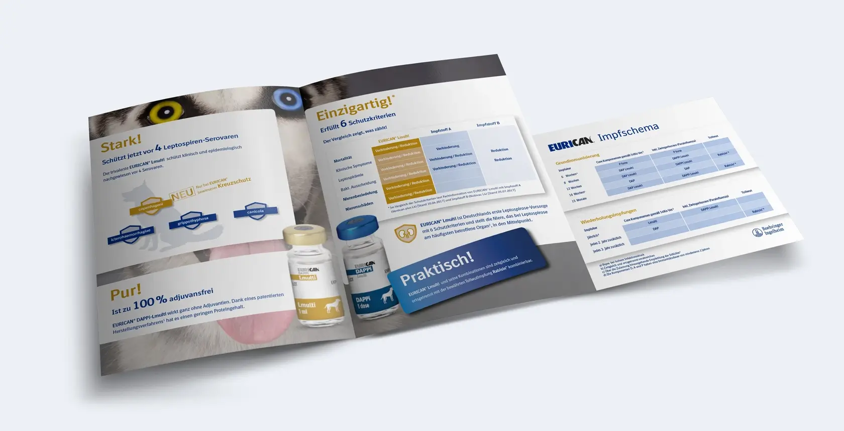 Referenzprojekt Boehringer Ingelheim Kampagne Eurican - Mockup - Aufgeschlagenes Werbemagazin mit einem Husky im Hintergrund. Im Vordergrund befinden sich Textfelder mit Informationen zu Impfmitteln für Hunde.