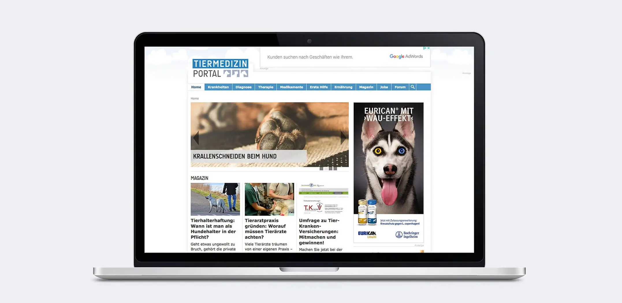 Referenzprojekt Boehringer Ingelheim Kampagne Eurican - Mockup - Startseite einer Website mit Informationen zum Krallenschneiden bei Hunden. Danneben eine Werbeanzeige für die impfstoffe vom Boehringer Ingelheim. Darauf befindet sich der Huskey mit den verwschiedenen Augenfarben und darüber ein Werbeslogan. Unter der Werbeanzeige liegen weitere Textfelder mit verschiedenen Informationsinhalten.