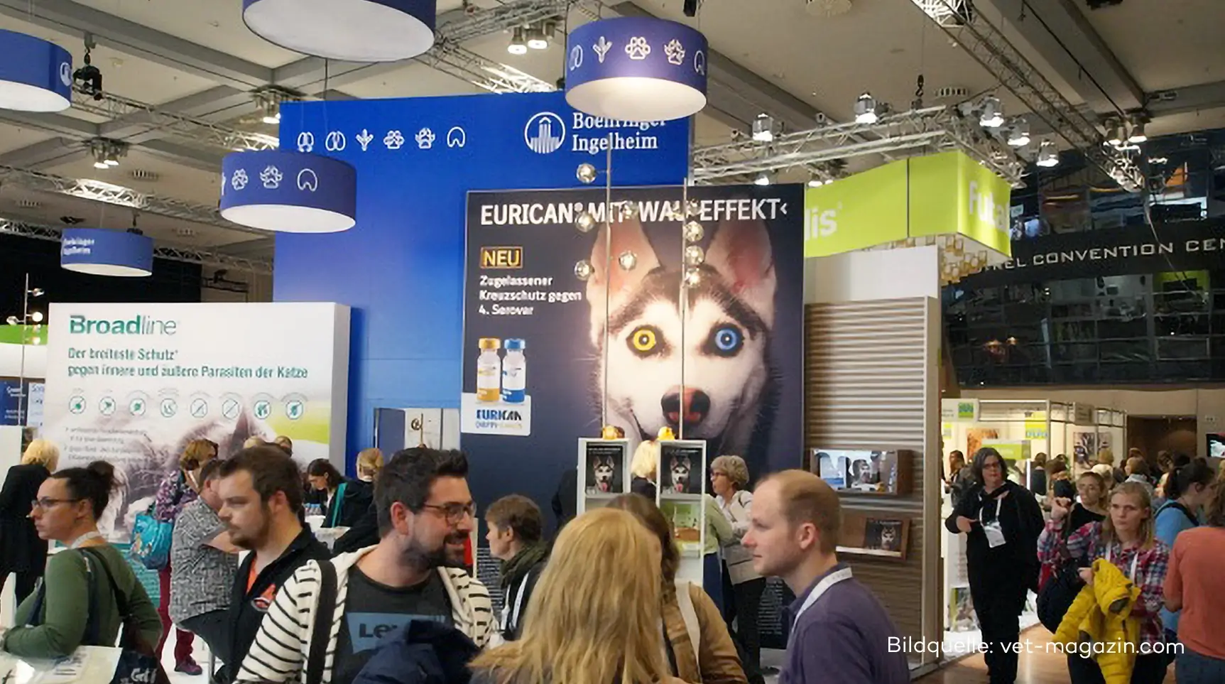 Referenzprojekt Boehringer Ingelheim Kampagne Eurican - Mockup - Großer Werbeaufsteller auf einer Messe mit einem Husky mit unterschiedlich farbigen Augen. Daneben steht in weißer Schrift Information zum angebotenen Impfstoff.