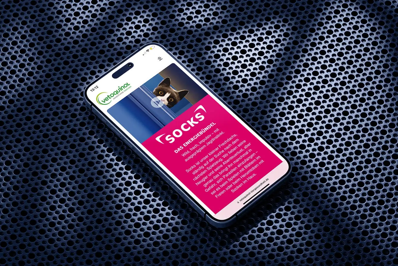 Referenzprojekt vetoquinol Landingpage Teaserbild