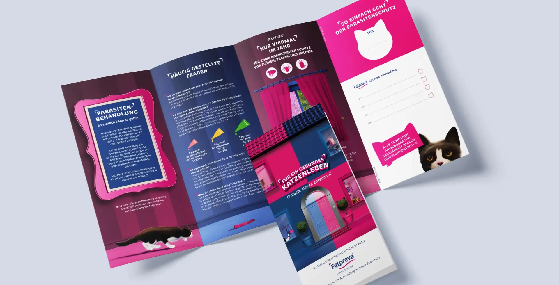 Referenzprojekt vetoquinol Kampagnenadaption Mockup in Form eines Flyers mit animiertem Bild als Deckblatt, in Blau und Pink gestaltet, das ein Haus mit Fenstern und einer Tür zeigt; aufgeklappt sind Text und Bilder von animierten Katzen zu sehen.