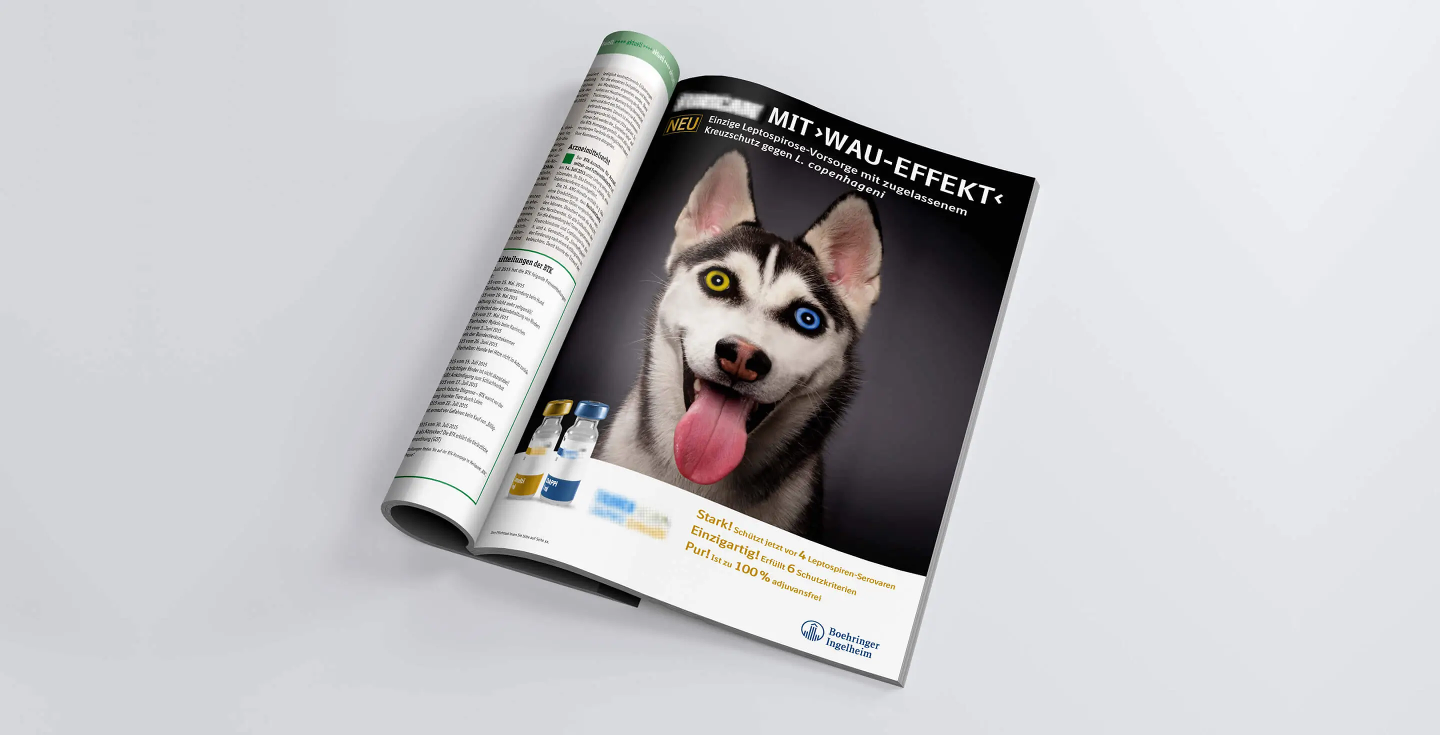 Referenzprojekt Boehringer Ingelheim Kampagne - Mockup einer Magazin-Innenseite zum Thema Impfstoffe für Hunde. Abgebildet ist ein großer Husky vor schwarz-grauem Hintergrund mit unterschiedlichen Augenfarben, der hechelt. Unten befindet sich ein weißer Balken mit der Darstellung eines Impfstoffs.