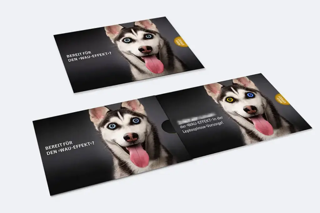 Referenzprojekt Boehringer Ingelheim Kampagne Impfstoffe für Hunde Mailing Titel
