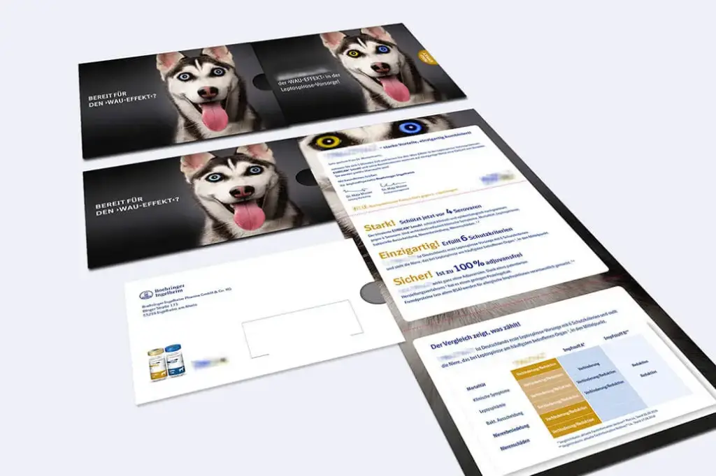 Referenzprojekt Boehringer Ingelheim Kampagne Impfstoffe für Hunde Mailing Innen