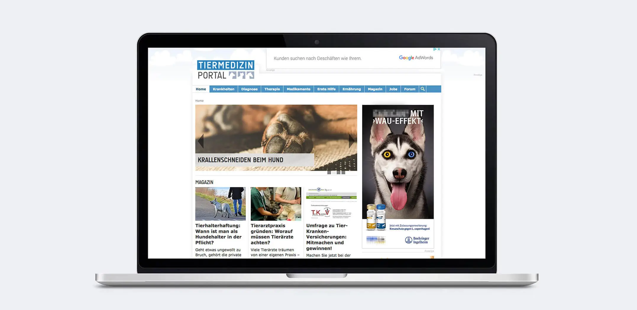 Referenzprojekt Boehringer Ingelheim Kampagne - Mockup - Startseite einer Website mit Informationen zum Krallenschneiden bei Hunden. Danneben eine Werbeanzeige für die impfstoffe vom Boehringer Ingelheim. Darauf befindet sich der Huskey mit den verwschiedenen Augenfarben und darüber ein Werbeslogan. Unter der Werbeanzeige liegen weitere Textfelder mit verschiedenen Informationsinhalten.