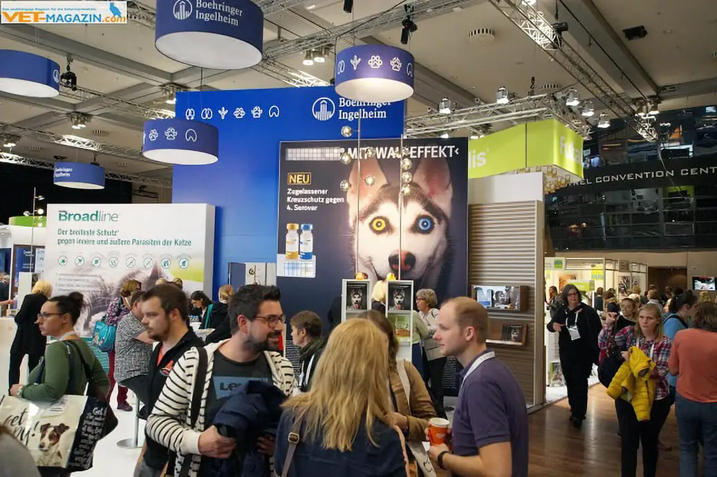 Referenzprojekt Boehringer Ingelheim Kampagne - Mockup - Großer Werbeaufsteller auf einer Messe mit einem Husky mit unterschiedlich farbigen Augen. Daneben steht in weißer Schrift Information zum angebotenen Impfstoff.